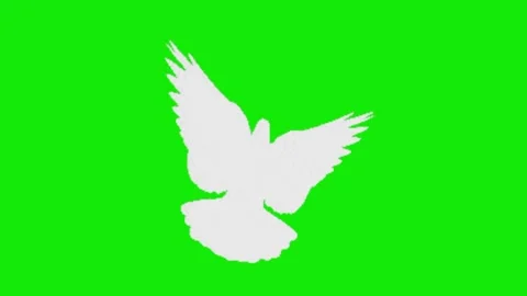 Peace animation on green screen Vidéo 328229111