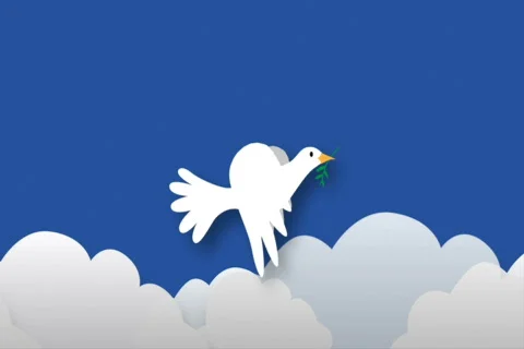 Peace Bird Loop NTSC Stock Footage 531652