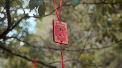 The peace blessing sign hanging on the tree Video stock 320354301