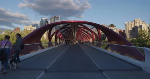 Peace Bridge Calgary Alberta Sunset Lock off Bow River Stock Footage 137766509