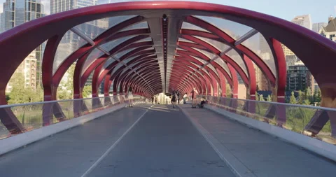 Peace Bridge Downtown Calgary Alberta Static Bow River Stock Footage 137766438