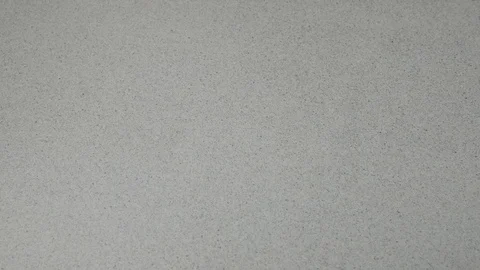 Peace of cheese in mouse trap Stock Footage 92202653