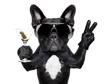 Peace cocktail dog Foto stock