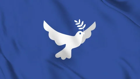 Peace Dove Flag Stock Footage 244054084