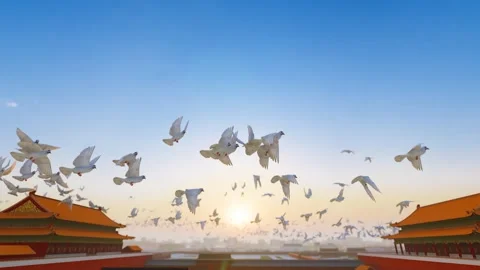 Peace doves flying freely over Tiananmen Square in Beijing, China Stock Footage 307157010