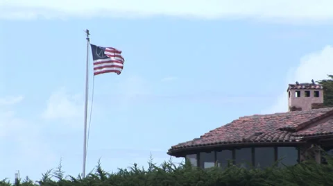 Peace Flag Stock Footage 30560720