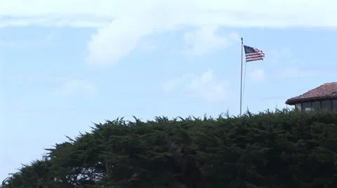 Peace Flag Stock Footage 30560721