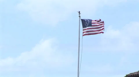 Peace Flag Stock Footage 30560824
