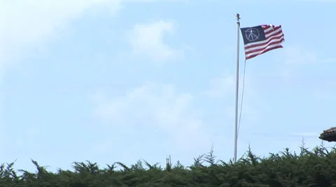 Peace Flag Stock Footage 30569757