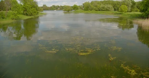 Peace full river view footage Stock Footage 115087645