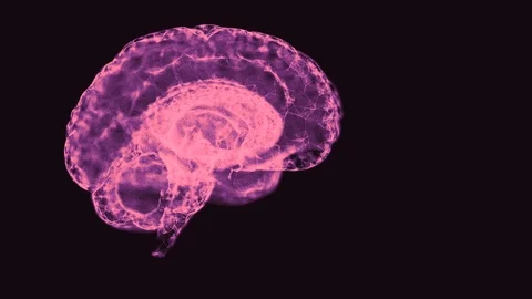 Peace of mind concept. Brain formed of abstract interwoven web in purple color Stock Footage 121813894