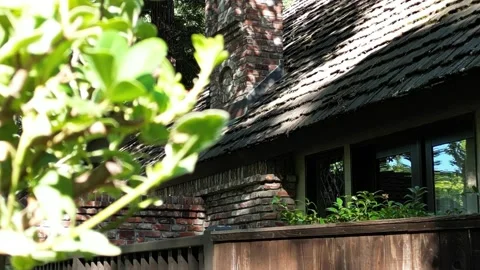 Peace in Napa Valley 動画素材 220393205