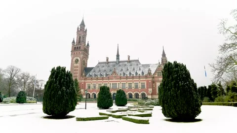 Peace Palace under the snow Stock Footage 325746680