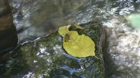 Peace Like a River Video stock 11220230