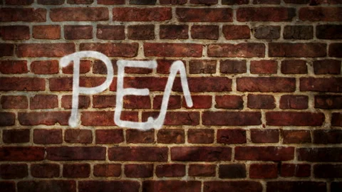 Peace spray painted on the brick wall Stock Footage 171987783
