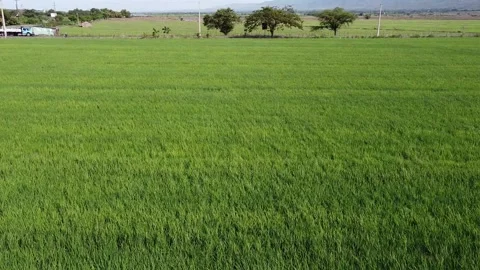 Peace into the storm Stock Footage 154117647