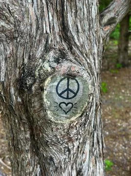 Peace Tree Foto stock