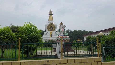 Peace in the Wild: Buddha Statue Surrounded by Nature Stock Footage 317072262