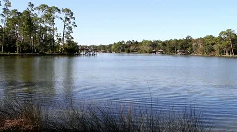 Peacedful Bayou Stock Footage 12523672