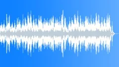 Peaceful Acoustic Morning Stock Music