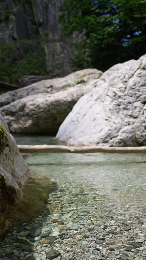 A peaceful and tranquil view of a sparkling clear stream that is surrounded by Stock Footage 316635232