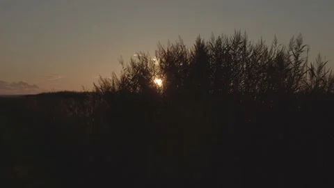 Peaceful autumn sunset Video stock 219859162