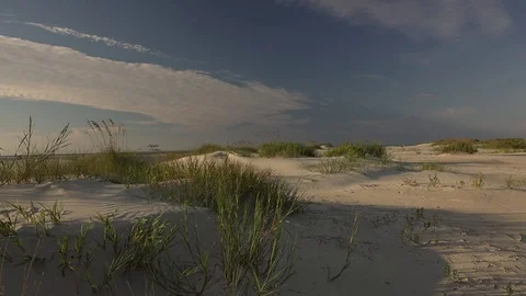 Peaceful beach landscape Stock Footage 71663680