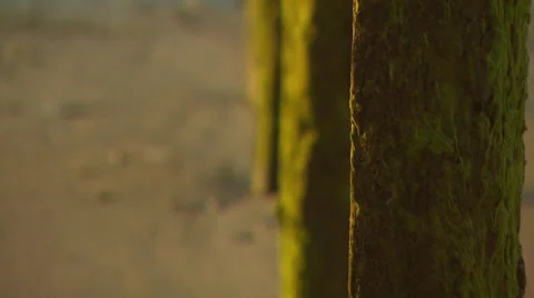 Peaceful beach scene, with waves lapping at the shore. High quality HD video Stock Footage 32960754