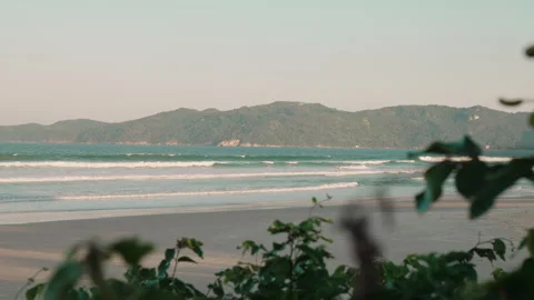 Peaceful Beach View Framed by Nature Stock Footage 314290826