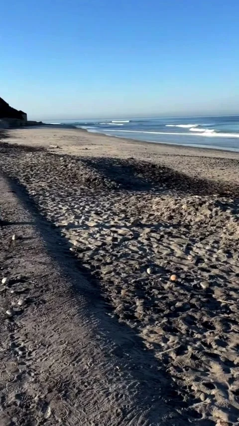 Peaceful Beach Waves and Sandy Shore Video stock 331439713