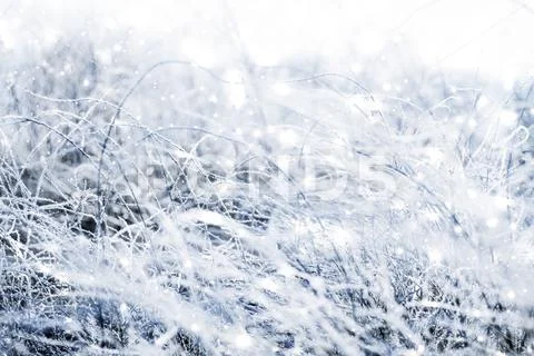 Peaceful Beauty Of A Christmas Day Stock Photos
