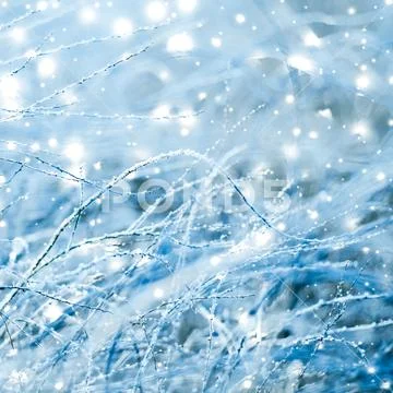 Peaceful Beauty Of A Winter Day Stock Photos
