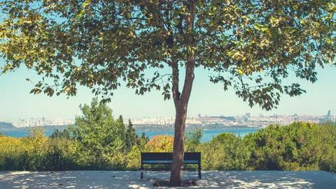 A peaceful bench under a tree overlooking a scenic cityscape and blue waters. Foto stock