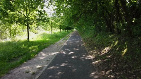 Peaceful bicycle road under the trees Stock Footage 113995533