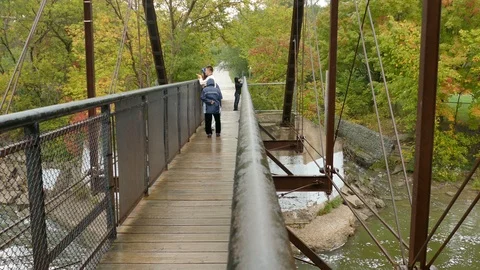 Peaceful bridge overlooking multiple big salmon during spawn period in Canada Stock Footage 94861674