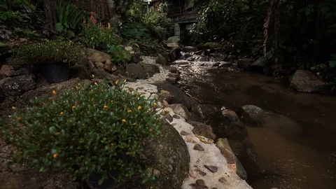 Peaceful brook in early spring forest Stock Footage 94587012