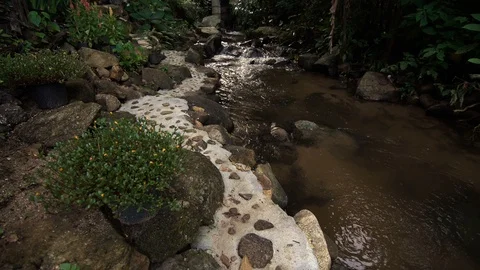 Peaceful brook in early spring forest Stock Footage 94587183