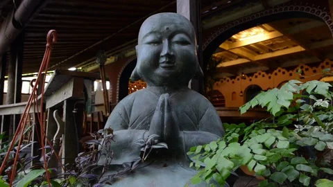 Peaceful Buddha Stock Footage 95928435