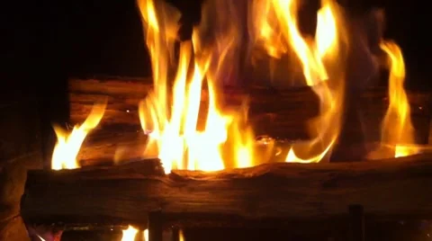 Peaceful Campfire Video stock 8521512