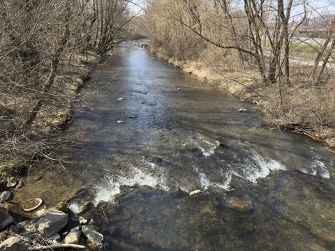 Peaceful Clear Stream Current over Rocks in Natural Woodland Foto stock
