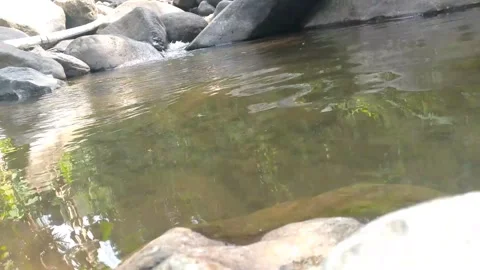 Peaceful clear stream water flowing over rock low angle nature B-roll 4k Stock Footage 341675556
