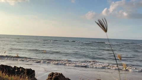 Peaceful Coastal Sunset with Ocean Waves and Beach Grass Stock Footage 340489646