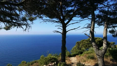 Peaceful corner with beautiful views of the coast Stock Footage 161546366