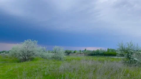 Peaceful countryside Stock-Footage 137246295