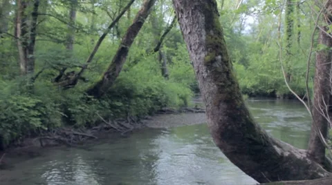  Peaceful Creek Video stock 7765854