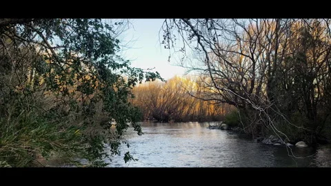 Peaceful Crystal Clear River Stream Flow Vidéo 344989802