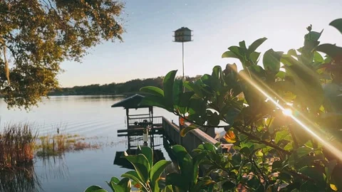 Peaceful Dock by the Lake with Stunning Sunset View Stock Footage 295530341