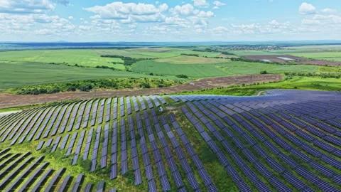Peaceful drone imagery capturing lavender growth and summer landscape. Serene Stock-Footage 337907602