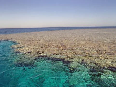 Peaceful egypt Foto stock
