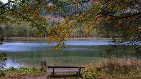 Peaceful environment nature Video stock 271347089